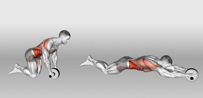 AB Wheel Roller for Full Core Workout